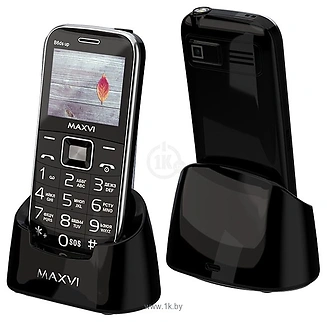 MAXVI B6ds up