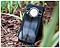 Cubot King Kong 9 12/512GB