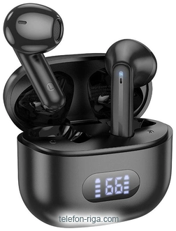 Borofone BW53