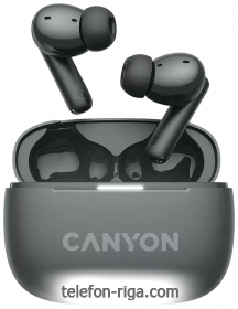 Canyon TWS-10