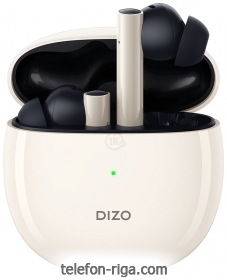 Dizo GoPods