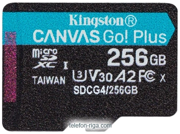 Kingston Canvas Go! microSDXC 256GB SDCG4/256GBSP