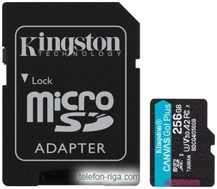 Kingston Canvas Go! microSDXC 256GB SDCG4/256GB ( )