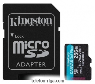 Kingston SDCG3/256GB