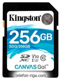 Kingston SDG/256GB