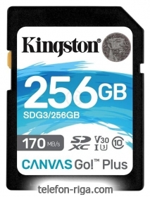 Kingston SDG3/256GB