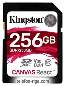 Kingston SDR/256GB