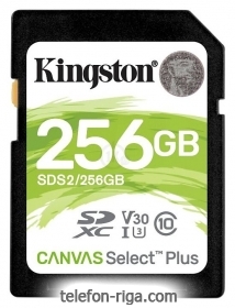 Kingston SDS2/256GB