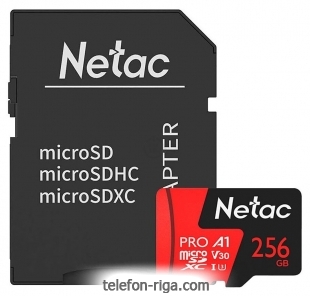 Netac NT02P500PRO-256G-R