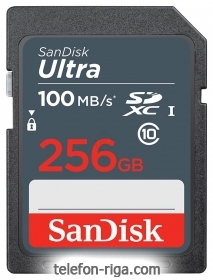 SanDisk SDSDUNR-256G-GN3IN