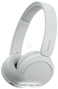Sony WH-CH520 ()