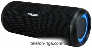 Toshiba TY-WSP201