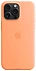 Apple MagSafe Silicone Case  iPhone 15 Pro Max ( )