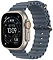 Apple Watch Ultra 3 LTE 49  ( ,   )