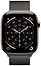 Apple Watch Series 11 LTE 46  ( ,  )