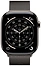Apple Watch Series 11 LTE 46  ( ,  )