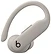 Beats Powerbeats Pro 2