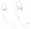 Beats Powerbeats3 Wireless