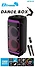 Eltronic 30-30 Dance Box 1300