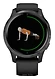 Garmin Venu