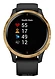 Garmin Venu