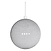 Google Home Mini