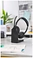 Jabra Evolve2 55 MS Stereo Stand USB-C