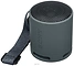 Sony SRS-XB100