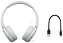 Sony WH-CH520 ()