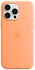 Apple MagSafe Silicone Case  iPhone 15 Pro Max ( ...