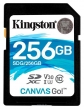 Kingston SDG/256GB