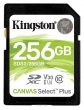 Kingston SDS2/256GB