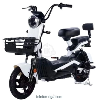 SHTENLI Model 21 Performance