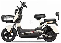 SHTENLI Model 21 Performance Pro