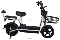 SHTENLI Model 3 Long Range