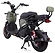 AVM.Plus Zoomer ()