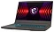 MSI Thin 15 B12UC-2482XBY