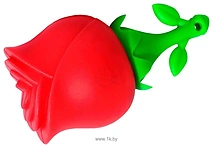 SmartBuy Wild series Rose 32GB